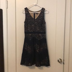 Navy Lace Overlay Limited Dress